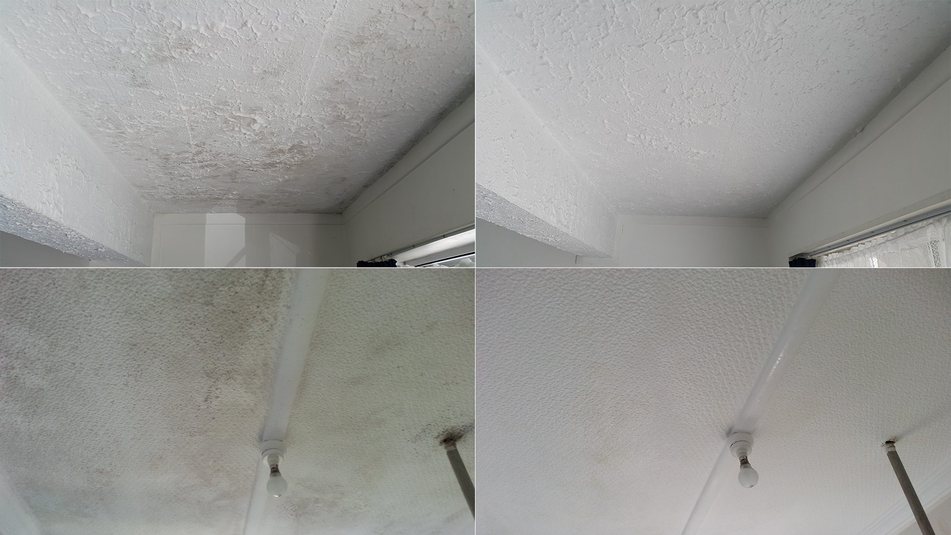 Before and after mould and mildew cleaning, Taranaki